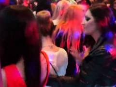 Hot Cuties Get Entirely Crazy And Stripped At Hardcore Party